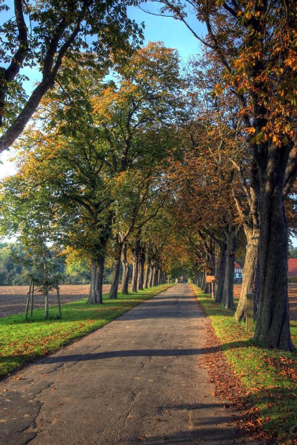 Schlosspark Hollwinkel Preußisch Oldendorf 外观 照片